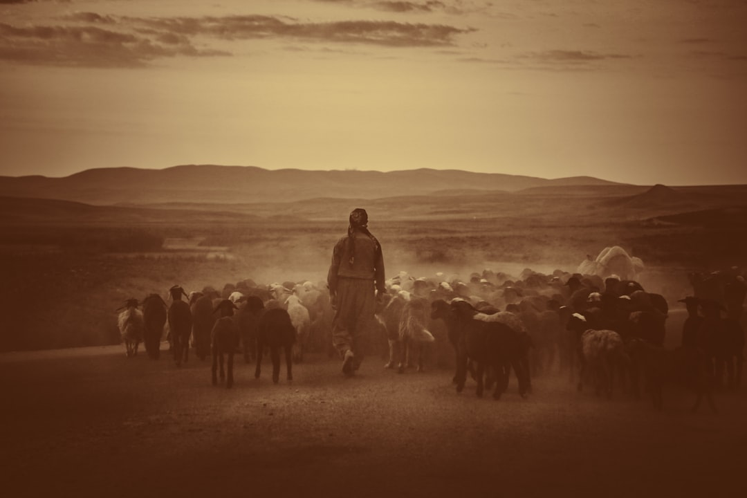 The Lord is my shepherd; I shall not want. – Psalm 23