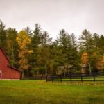 Modern Living: The Black Barndominium