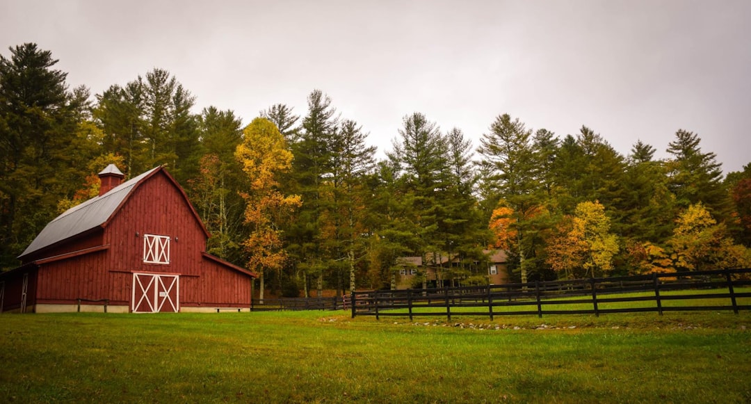 Modern Living: The Black Barndominium