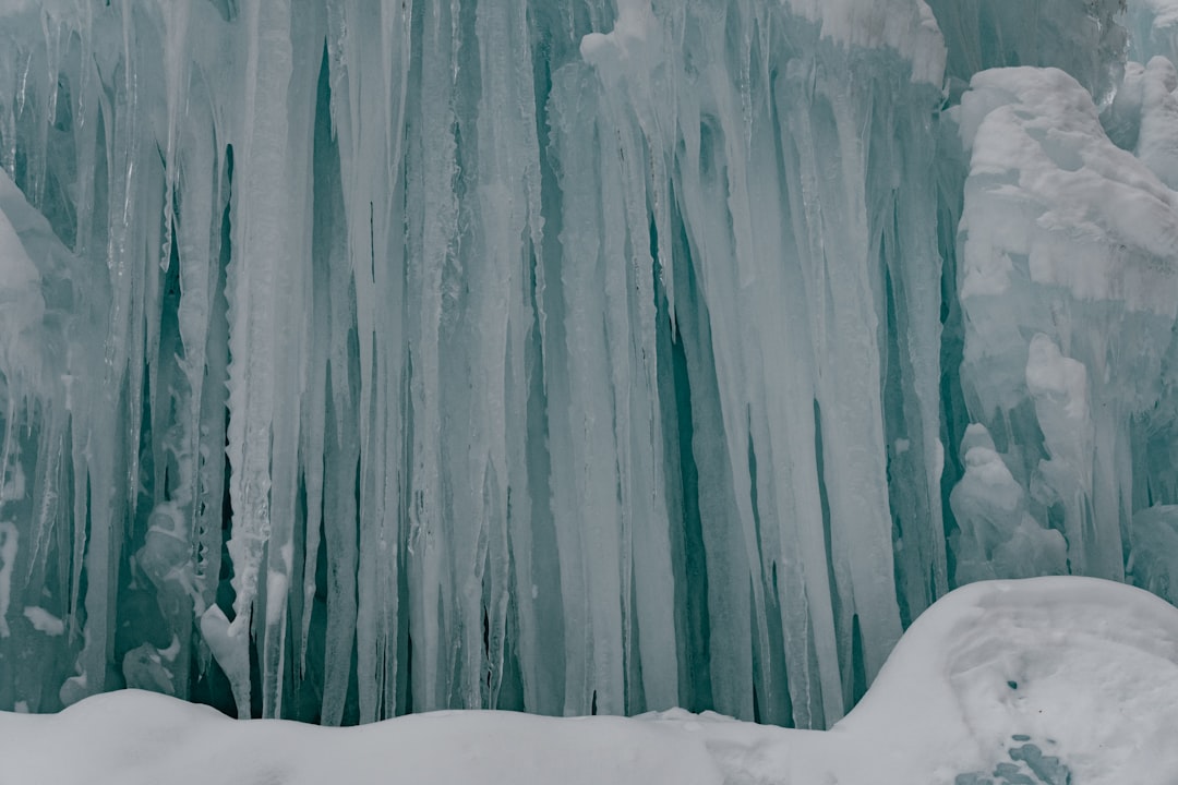 Embracing the Chill: Winterfest 2023