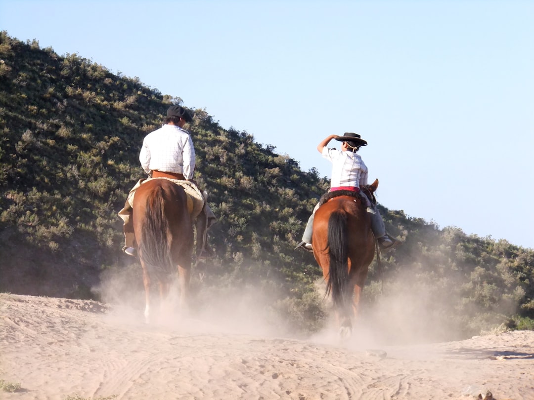 Rodeo 39: The Ultimate Showcase of Western Skills