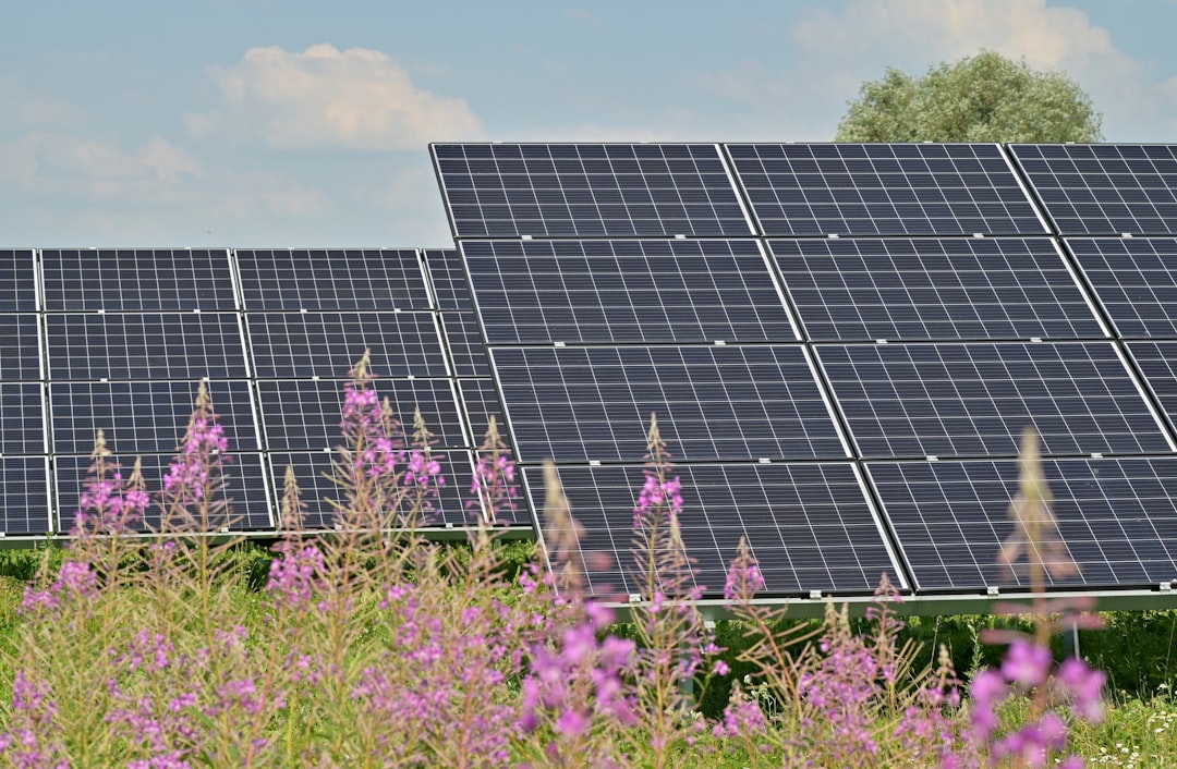 Selling a Solar-Powered Home in LA: Tips and Tricks
