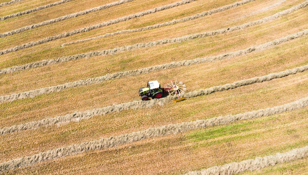 Rural Home Buying Near Asheville: Top Tips