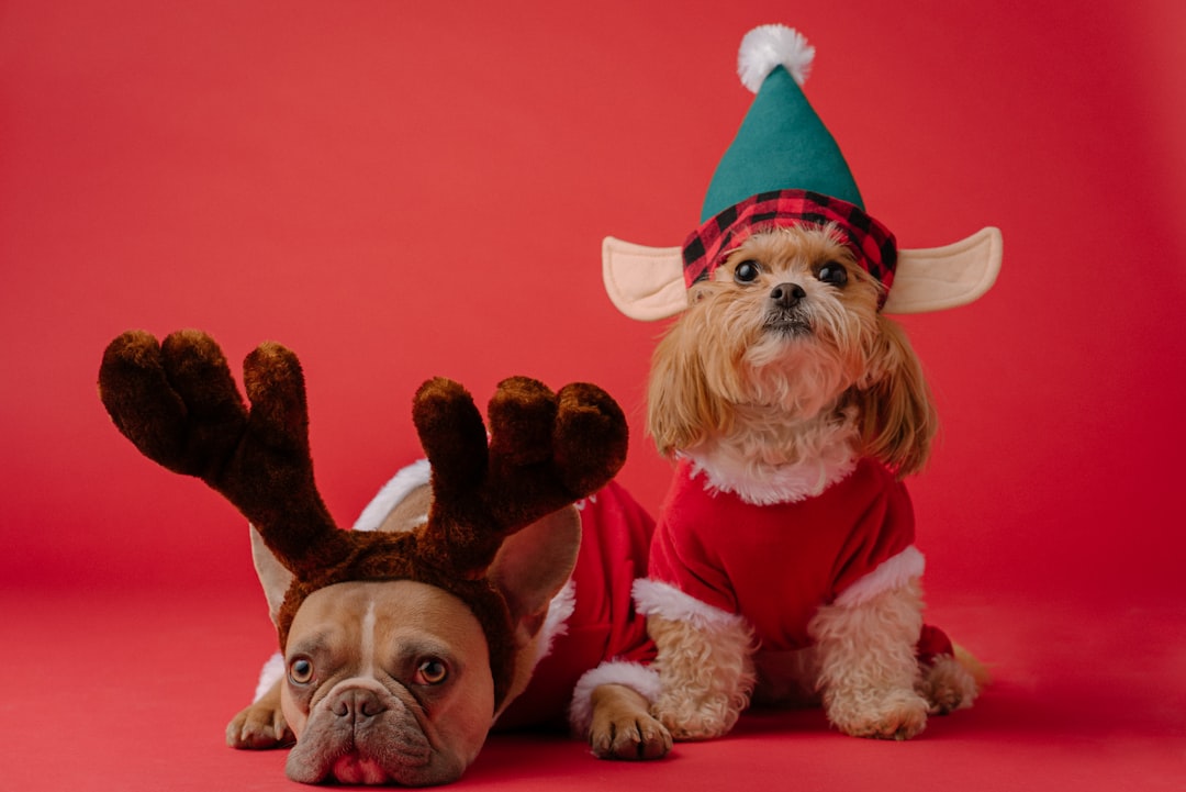 Max: The Loyal Companion in the Grinch’s World